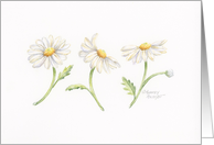 Thinking Of You Three Dancing Daisies In a Row Caring Thoughts card