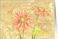 Thinking Of You Gerbera Daisy Beautiful Garden of Blessings card