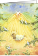Christmas Remembered In Mass Jesus And Birds Come Let Us Adore Him card