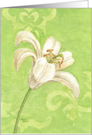 Sympathy Religious White Lily Elegance Bless You Comfort Peace card