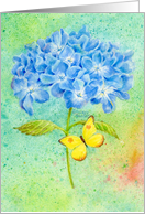 Thinking of You Blue Hydrangea and Butterfly card