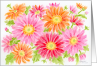 Friend Birthday Big Wishes Beautiful Gerbera Daisies Big Wishes card