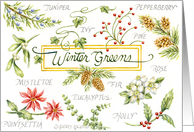 Thank You Christmas Wonderful Winter Greens Will be Enjoyed card