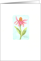 Thinking of You Gentle Coneflower With Thoughts and Prayers card
