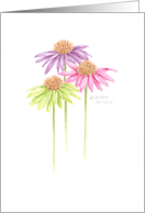 Thinking of You Uplifting Colorful Coneflowers Warm Caring Thoughts card