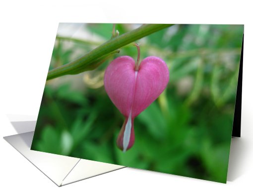 Tiny Heart card (755435)