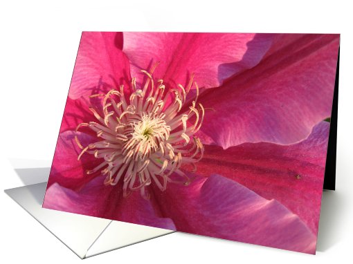 Clematis Flower card (755449)
