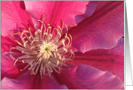 Clematis Flower card