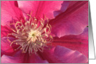 Clematis Flower card
