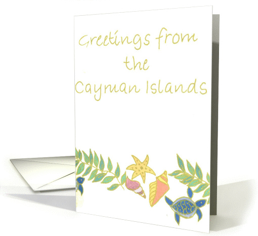 Turtle Branch card (111756)