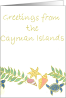 Turtle Branch card