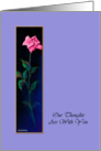 Sympathy, Pink Rose on Light Periwinkle Blue Background, Real Paper Card