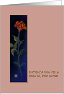 Spanish Sympathy Catholic-Simpatia/Catolico Greeting Card, ’Red Rose’ card
