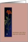 Spanish Sympathy Catholic-Simpatia/Catolico Greeting Card, ’Red Rose’ card