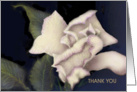  Thank You Card-Ivory Rose Painting card