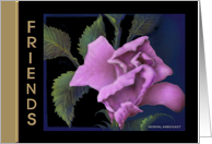  Birthday Greeting Card/Friend/Pink Rose card