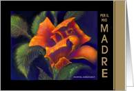 Italian Happy Birthday Greeting Card Paril Mio Madre Buon Compleanno/Rosa Arancione card