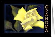Grandma, ’Yellow Rose’ Birthday Card