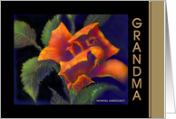 Grandma ’Orange Rose’ Birthday Card