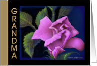 Grandma, ’Pink Rose’ Birthday Greeting Card, card