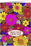 Spanish Thank You Card/Muchas Gracias card
