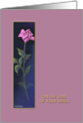Loss of Sister, ’Pink Rose’ Sympathy Card