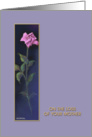 Loss of Mother,Sympathy, ’Pink Rose’ Card