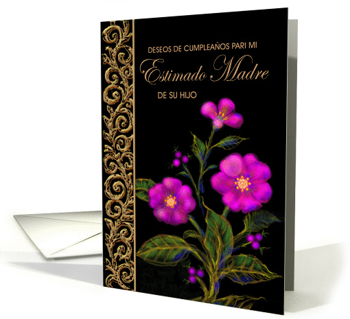Spanish, Mother, Birthday, Feliz Cumpeaños Madre,... (222057)