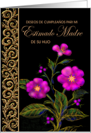 Spanish, Mother, Birthday, Feliz Cumpeaños Madre, From Son, Real Paper Card