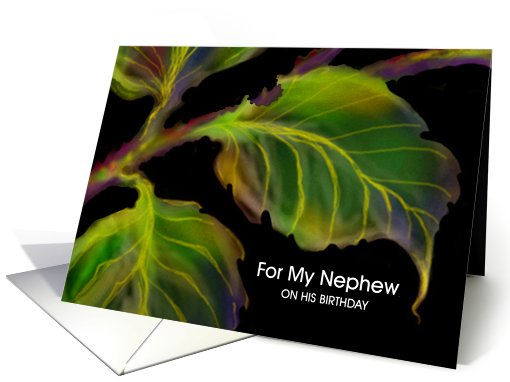Nephew, Birthday Paper Greeting Card, 'Leaves' card (274892)