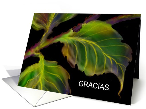 Spanish Thank You Note, Greeting Card, 'Burnished Leaves' card