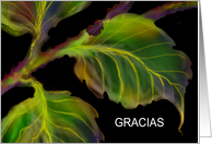 Spanish Thank You Note, Greeting Card, ’Burnished Leaves’ card