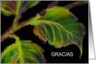 Spanish Thank You Note, Greeting Card, ’Burnished Leaves’ card