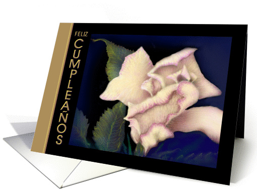 Spanish Birthday 'Ivory Rose' card (578227)