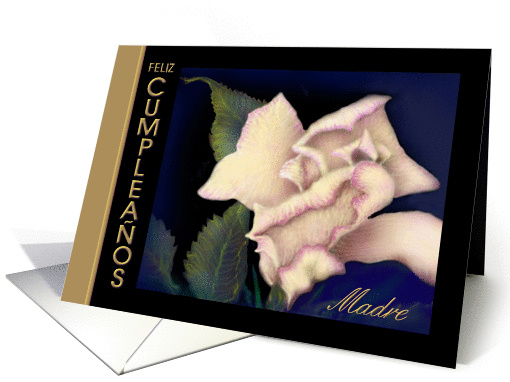 Spanish Birthday for Mother 'Ivory Rose' card (578411)