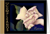 Spanish Birthday for Wife ’Ivory Rose’ Card