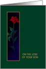 Loss of Son, Red Rose, Sympathy Card