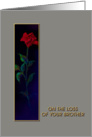 Loss of Brother, Red Rose, Sympathy Card