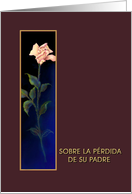 Spanish, Loss of Father, Padre, Ivory Rose, Sympathy Card