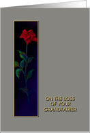 Loss of Grandfather, Red Rose, Sympathy Card