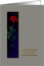 Loss of Grandfather, Red Rose, Sympathy Card