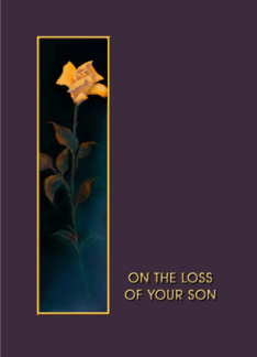 Loss of Son, Golden...