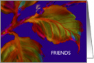 Friendship, ArtCard, Greeting Card, ’Leaves With Golden Wasp’ card