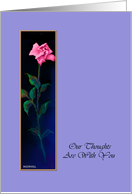 Sympathy, Pink Rose on Light Periwinkle Blue Background, Real Paper Card