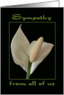 Sympathy from all of Us Peace Flower card