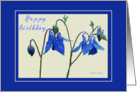 Happy Birthday Blue Columbine card