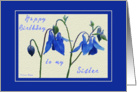 Happy Birthday to my Sister- Blue Columbine card