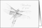 Thinking of You - Dragonfly card