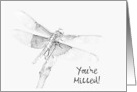 You’re Missed - Dragonfly Drawing - Customizable Card Front Text card