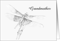 Dragonfly Final Good Bye - Grandmother - Customizable card